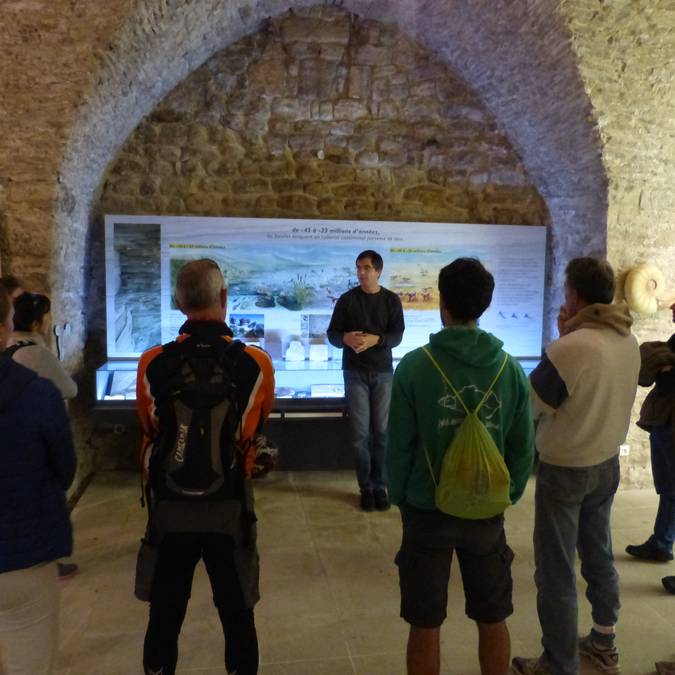 Musée de la géologie 